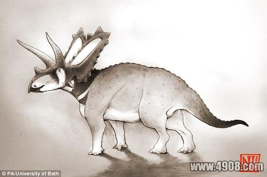 ڶԼôȻݱ75ʯоʱӢѧ-淢Ⱥһͼչʾѧ“Pentaceratops aquilonius”˴ǰ϶Ϊ׼ͿǼôĿȺ
